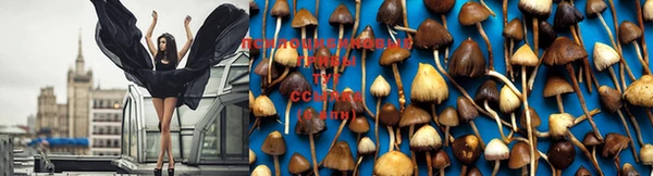 MDMA Premium VHQ Абинск