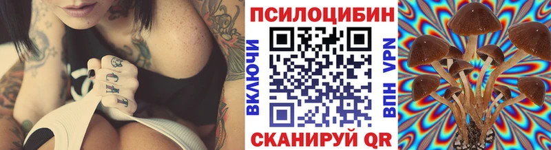 Псилоцибиновые грибы прущие грибы  mega ссылка  Осташков  даркнет сайт 